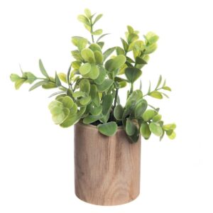 Eucalyptus Bundle In Wooden Pot
