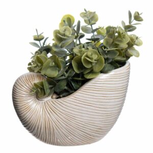 Eucalyptus In Ceramic Shell Pot 7.5"