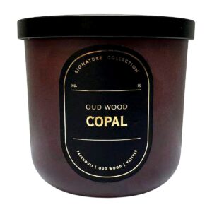 Oud Wood & Copal Scented Jar Candle 12.5Oz