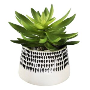 Succulent In Ceramic Pot 7"