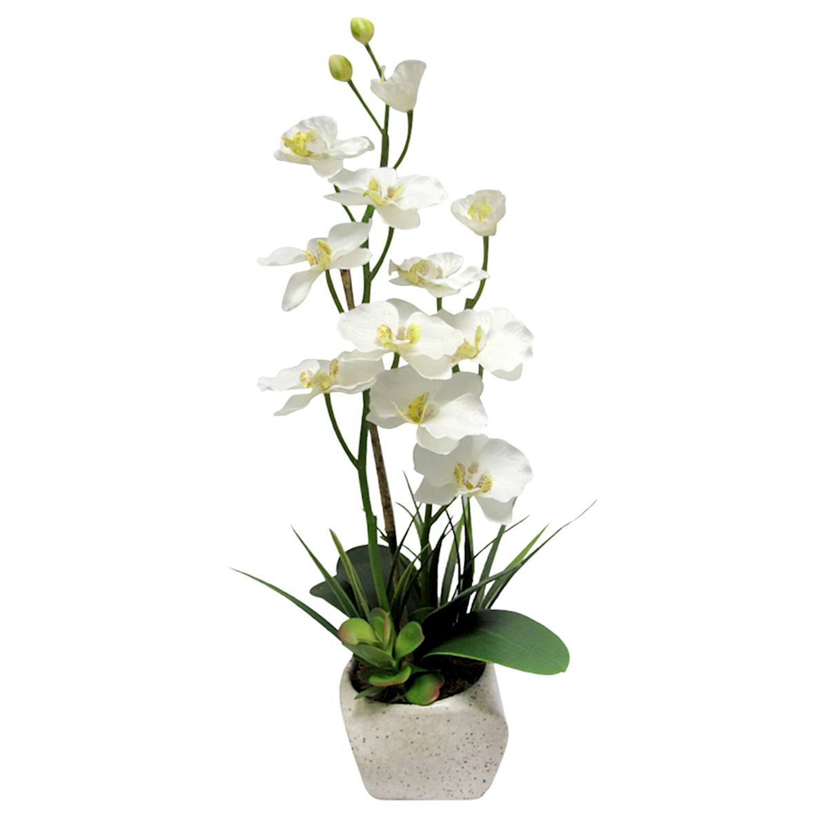 Orchid Flower With Stone Planter 23"